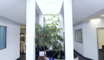 Office.jpg