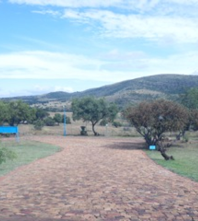 SDC10377.jpg
