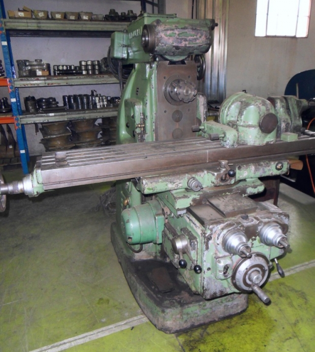 SDC14821-768x1024.jpg