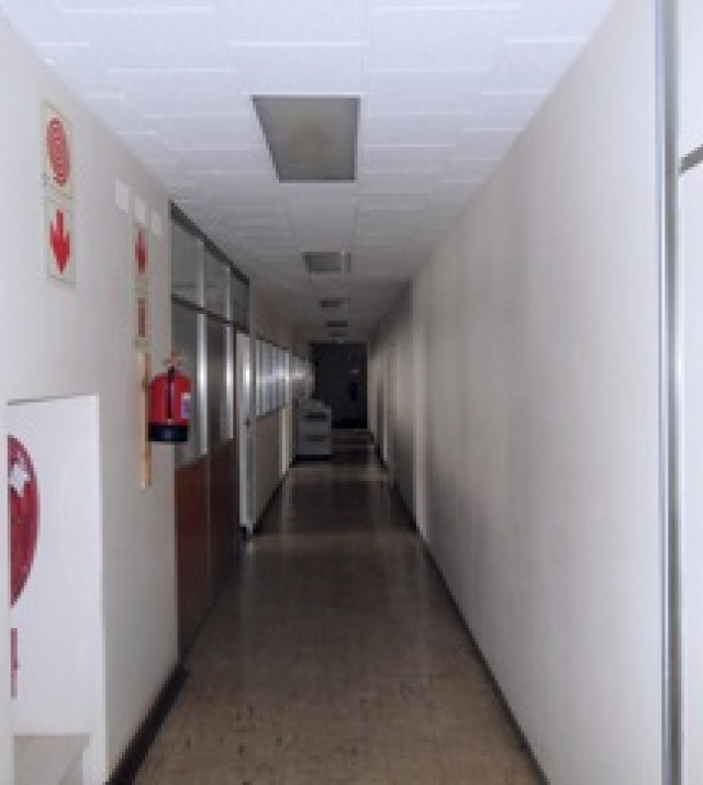 SDC17021.jpg